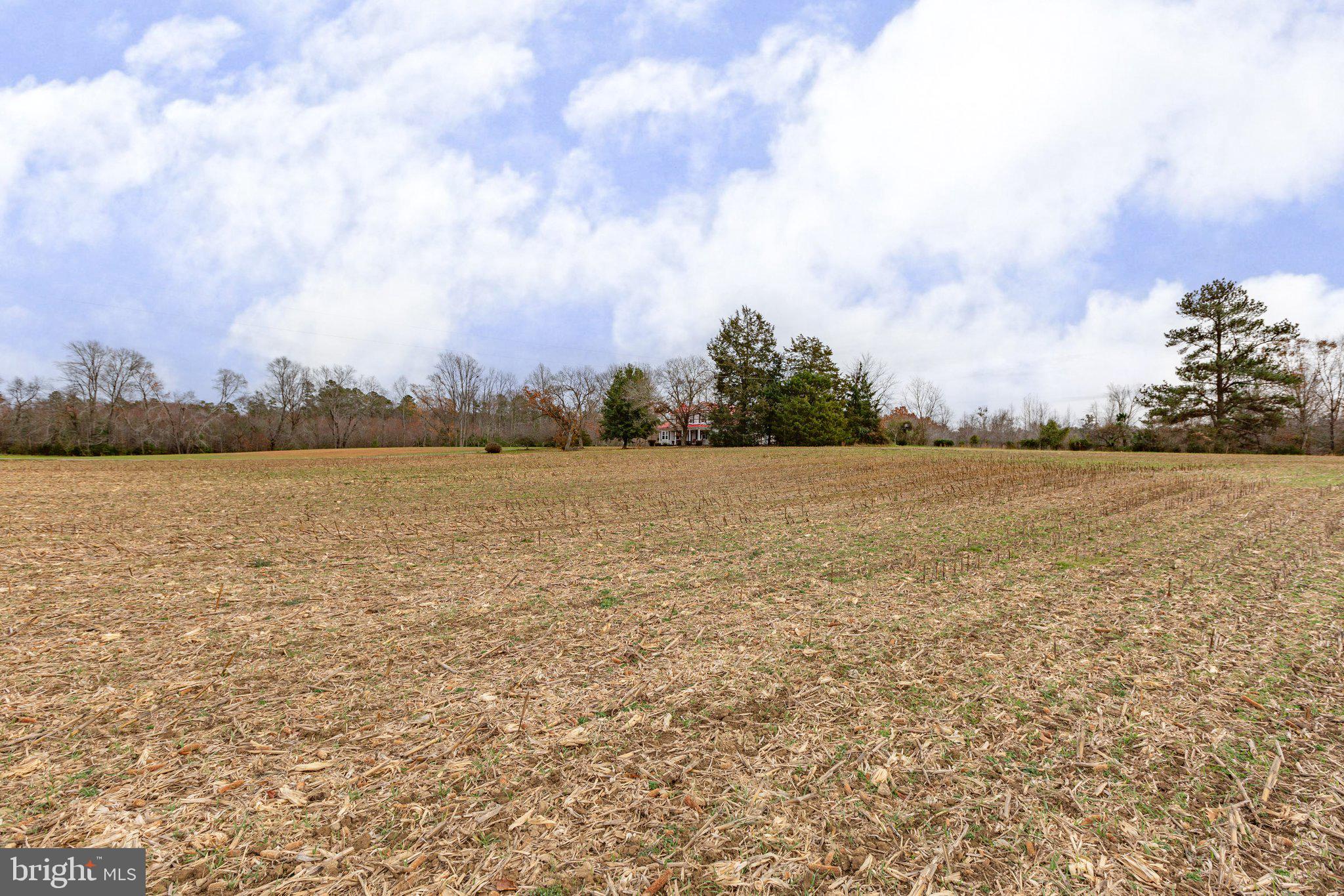 15411 Beverly Run Road Bowling Green, VA 22427 - Photo 54 of 59 Gallery Image 54