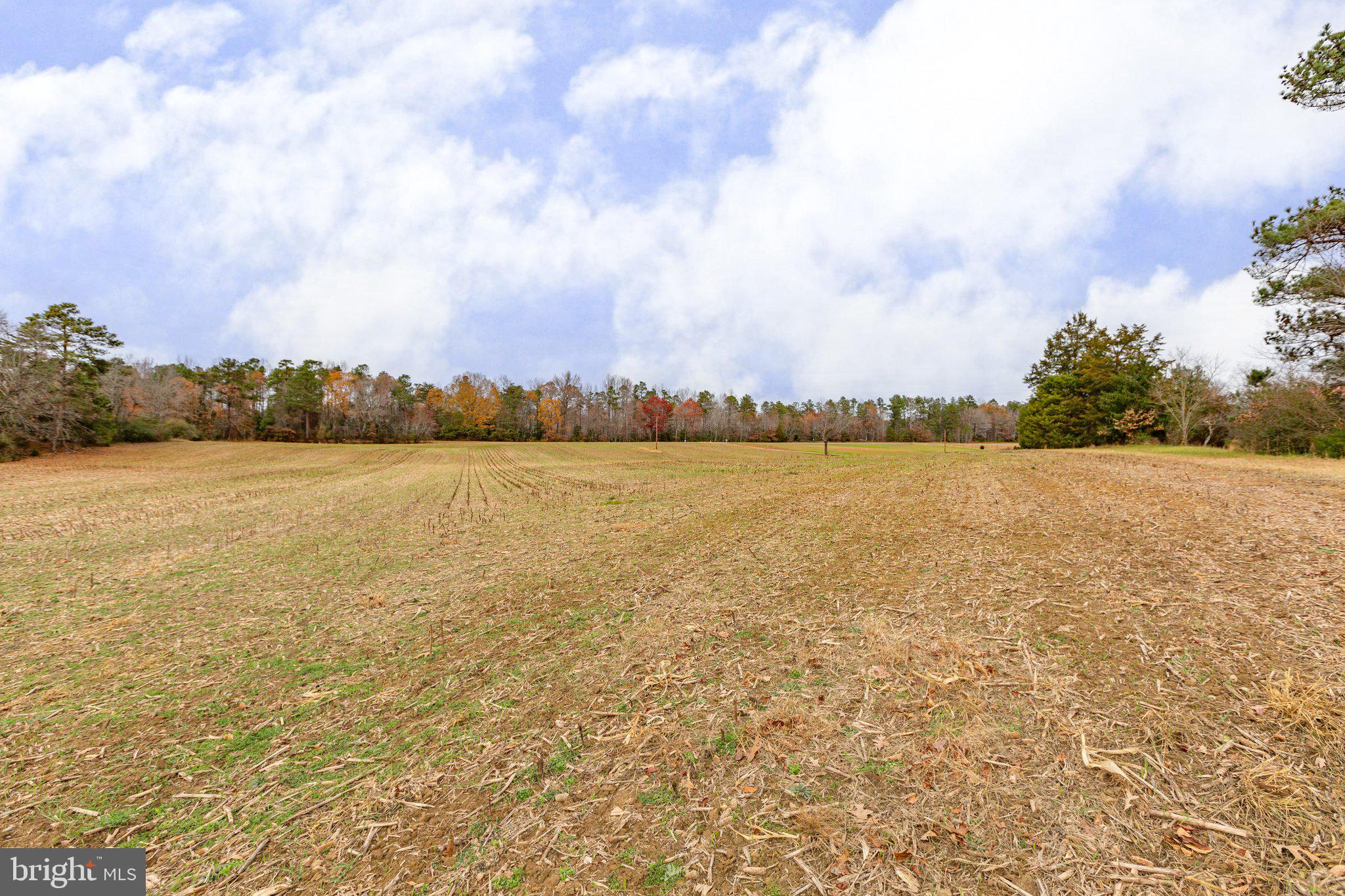 15411 Beverly Run Road Bowling Green, VA 22427 - Photo 10 of 59 Gallery Image 10