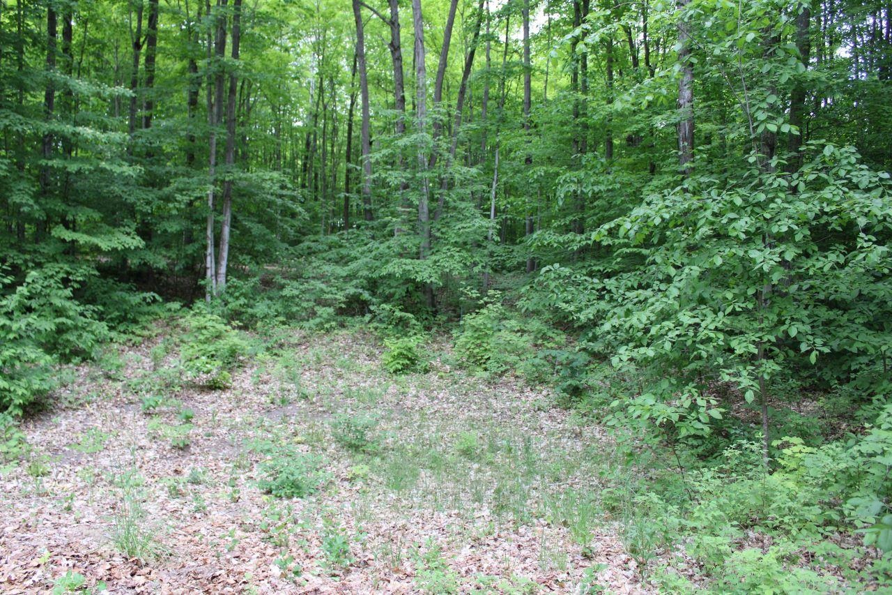 6088 Covert Road Northeast Mancelona, MI 49659 - Photo 5 of 38 1892773-4.JPG