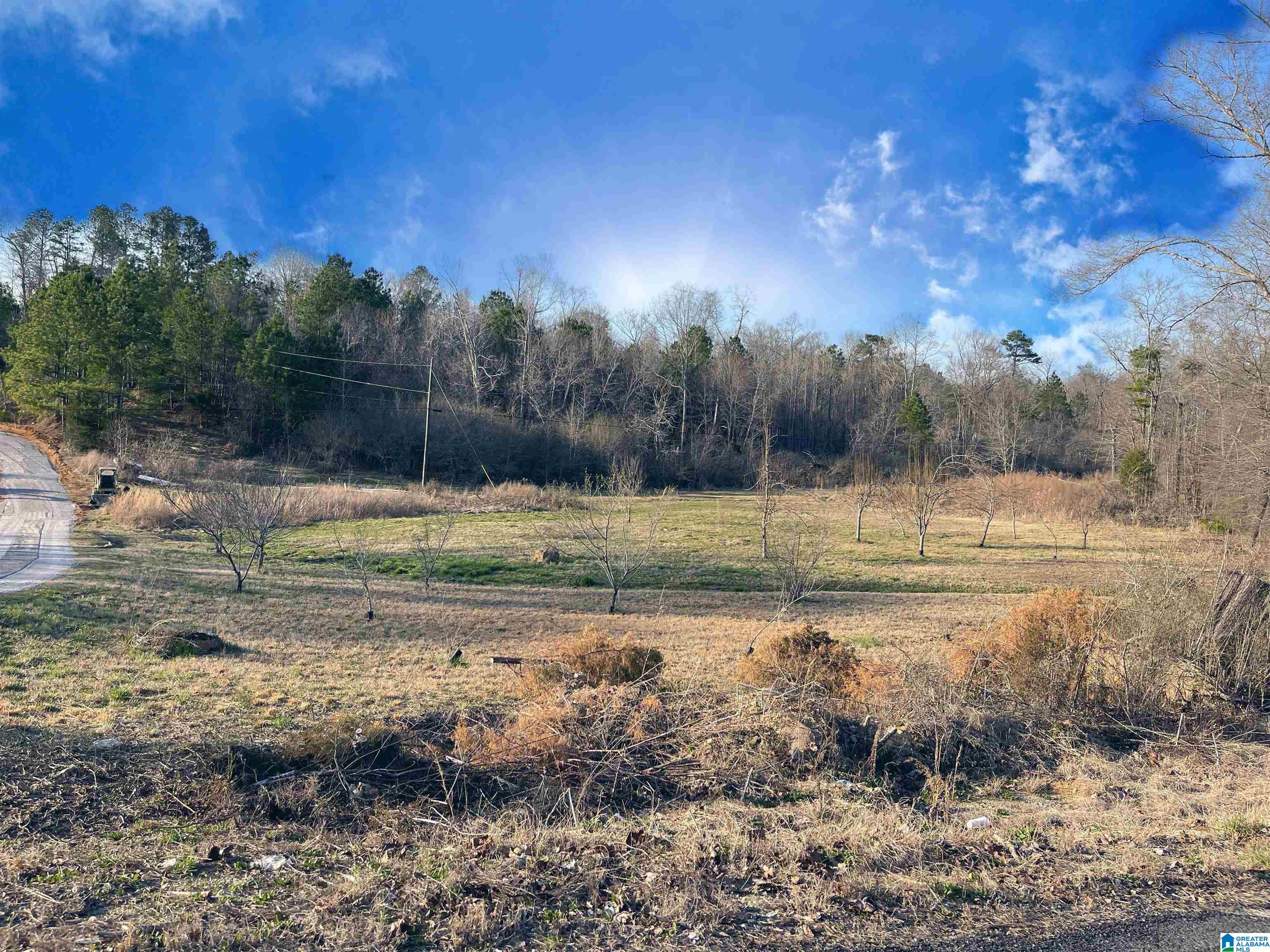 31 Clark Road Jacksonville, AL 36265 - Photo 1 of 3