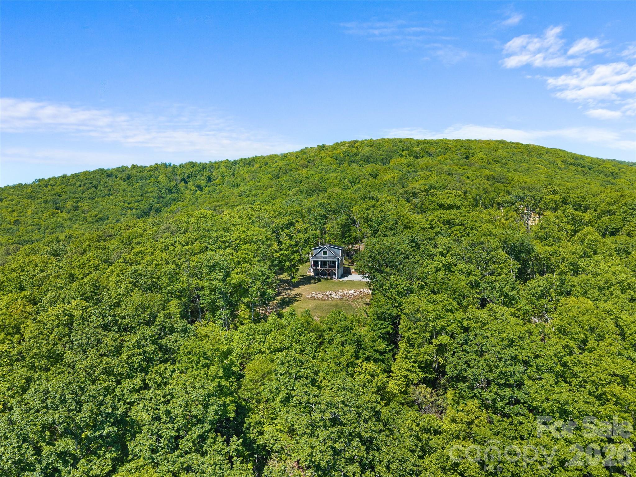 852 Marshall Ridge Road Hendersonville, NC 28792 - Photo 39 of 47