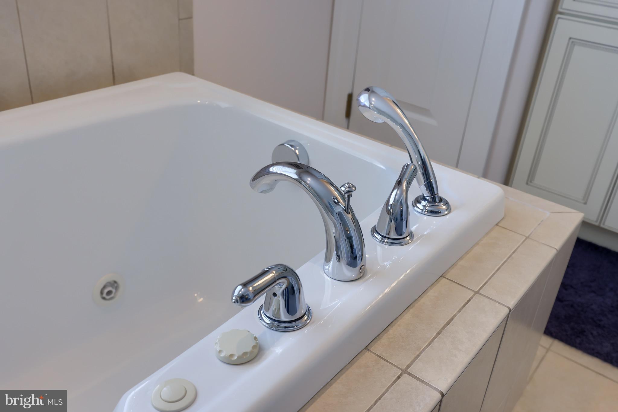 5 Snyder Hill Road Lititz, PA 17543 - Photo 44 of 87 Primary Bathroom