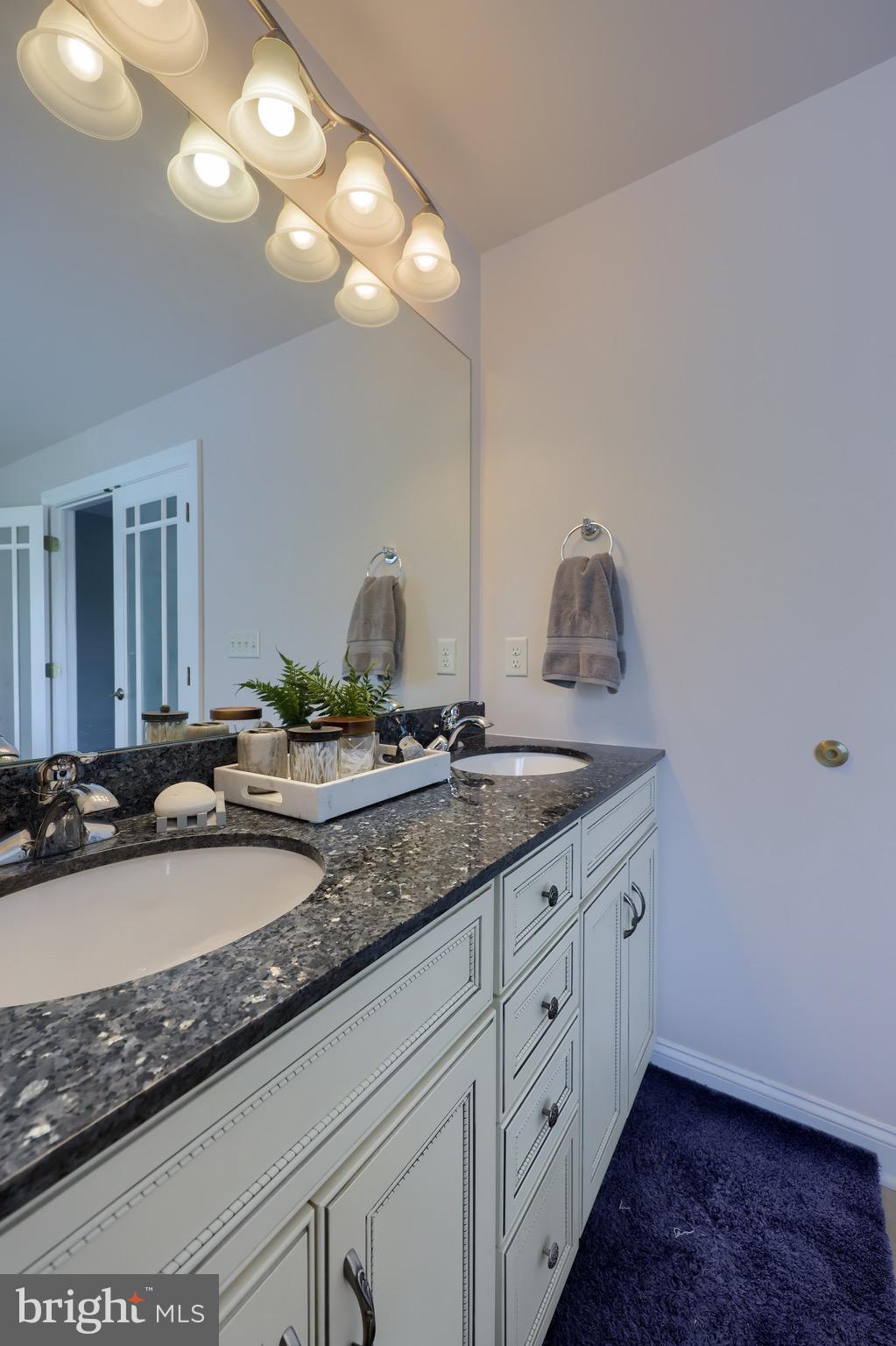 5 Snyder Hill Road Lititz, PA 17543 - Photo 46 of 87 Primary Bathroom