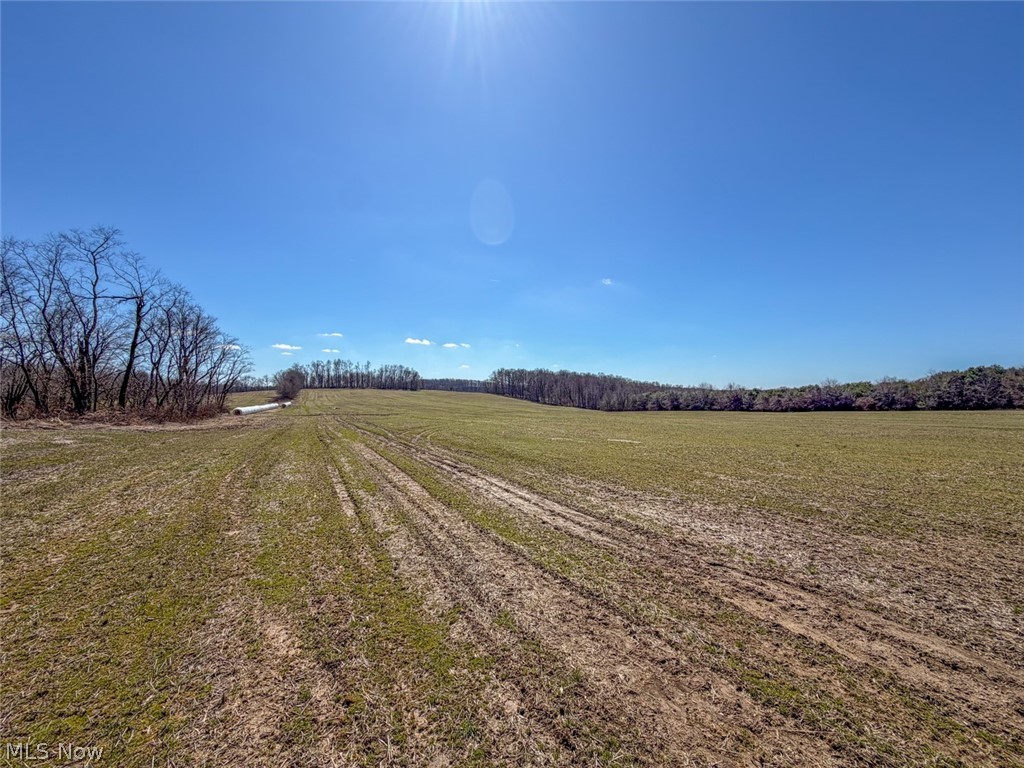 17970 Scott Road Mount Vernon, OH 43050 - Photo 5 of 35