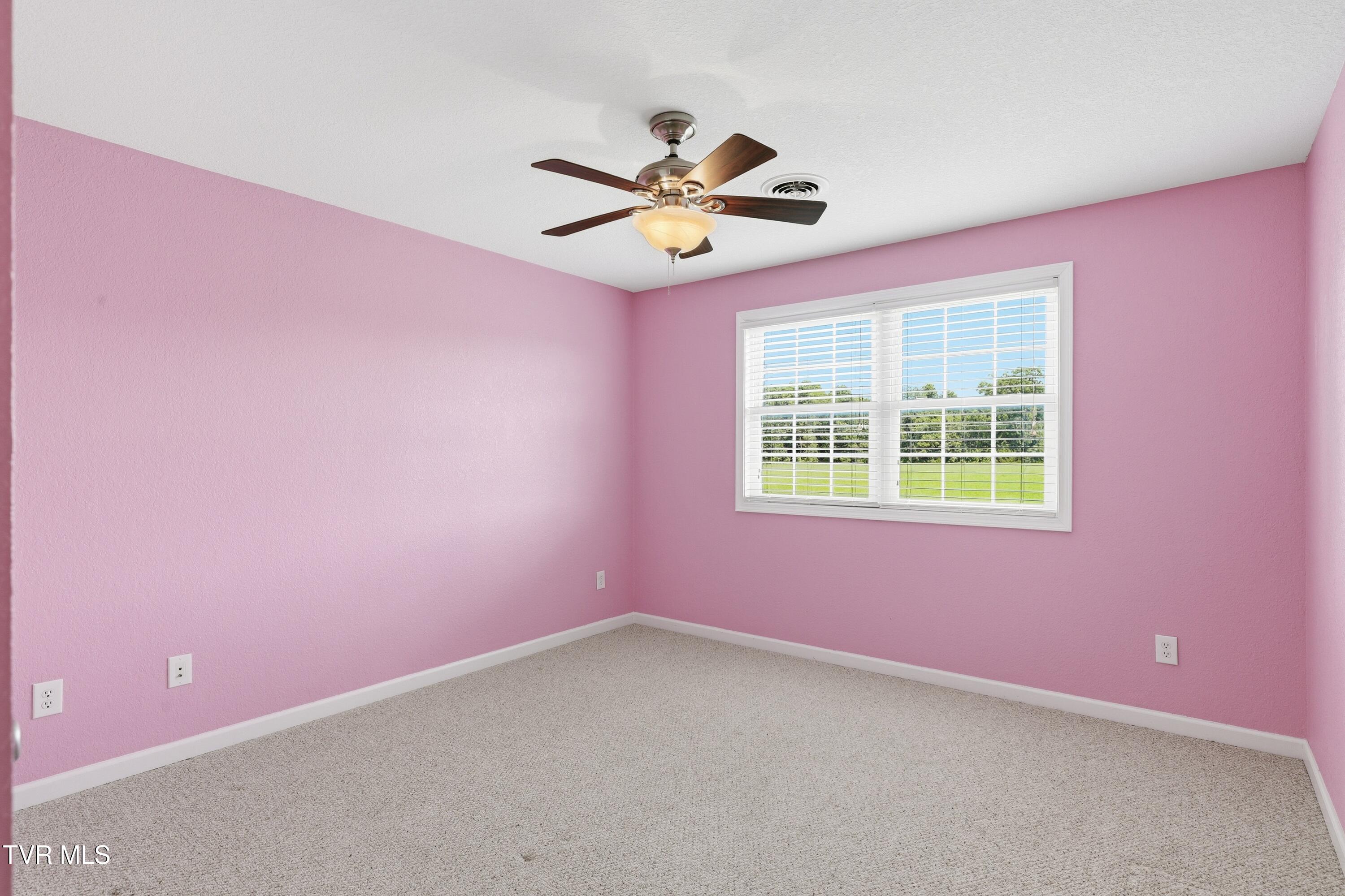 767 Possum Creek Road Greeneville, TN 37743 - Photo 50 of 69 66_767_possum_creek_rd_0154