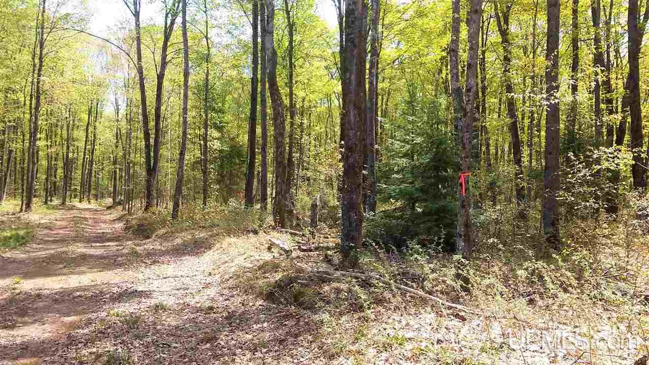 7618 Lake 6 Road, Unit PARCEL B Butternut, WI 54514 - Photo 6 of 13 Gallery Image 6