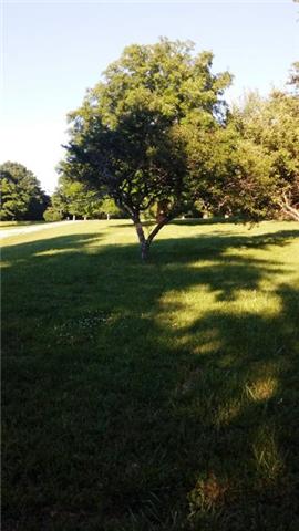 1077 Rock Church Road Dickson, TN 37055 - Photo 6 of 17 Gallery Image 6