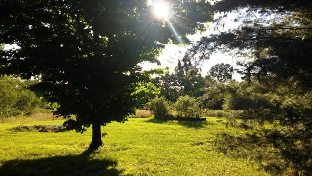 1077 Rock Church Road Dickson, TN 37055 - Photo 7 of 17 Gallery Image 7