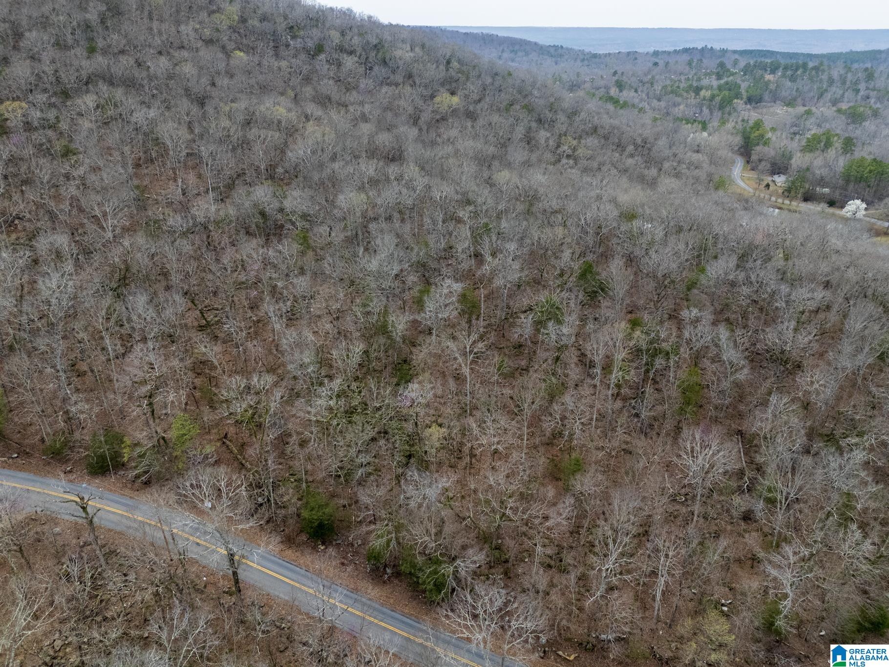 0 Valley Trail, Unit 496 Warrior, AL 35180 - Photo 14 of 31
