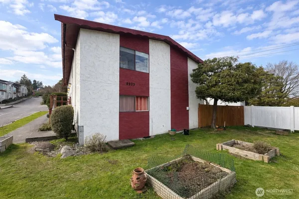 a view of backyard of house