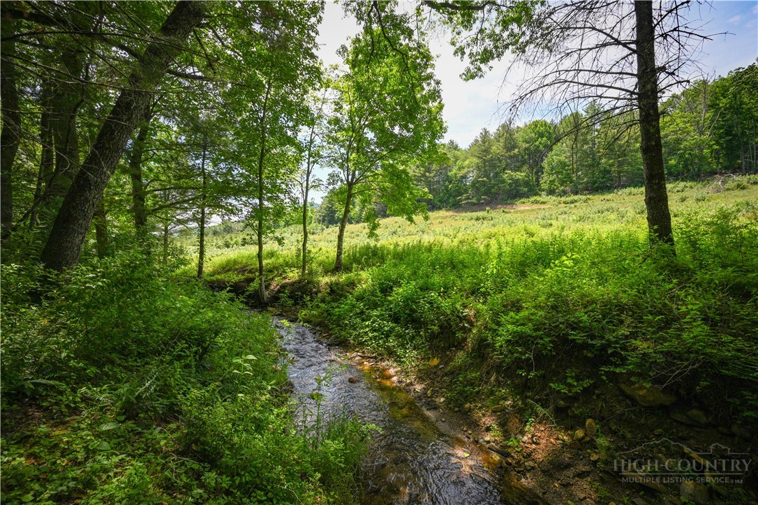 Lot 2 Gusher Knob Road Newland, NC 28657 - Photo 6 of 17