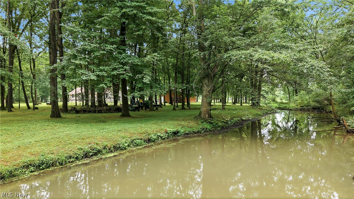 2930 Selkirk Bush Road Warren, OH 44481 - Photo 40 of 50 Creek