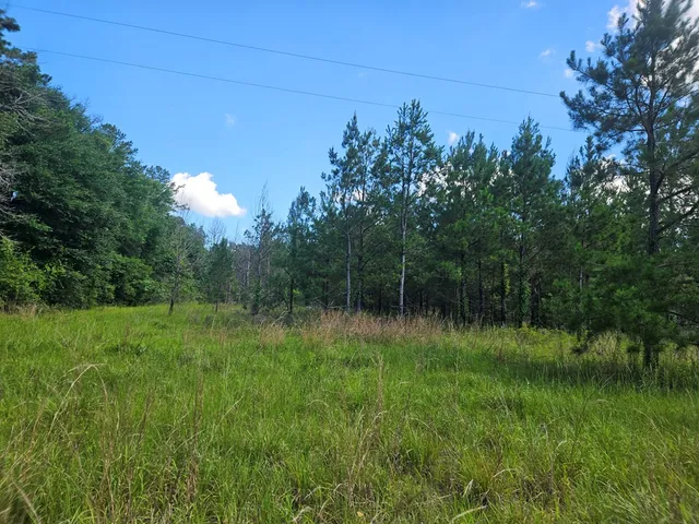 $55,000 | 0 Highway 43 Columbia Ms 39429, Lumberton, MS 39455