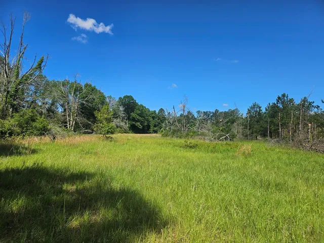 $55,000 | 0 Highway 43 Columbia Ms 39429, Lumberton, MS 39455