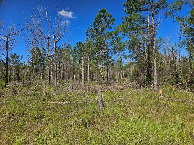 $55,000 | 0 Highway 43 Columbia Ms 39429, Lumberton, MS 39455