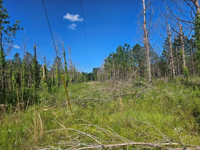 $55,000 | 0 Highway 43 Columbia Ms 39429, Lumberton, MS 39455