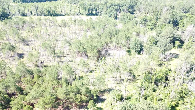 $55,000 | 0 Highway 43 Columbia Ms 39429, Lumberton, MS 39455