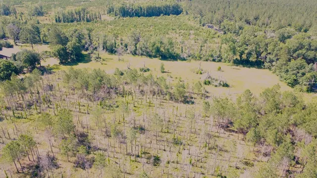 $55,000 | 0 Highway 43 Columbia Ms 39429, Lumberton, MS 39455