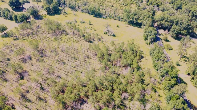 $55,000 | 0 Highway 43 Columbia Ms 39429, Lumberton, MS 39455