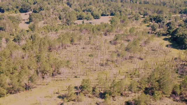 $55,000 | 0 Highway 43 Columbia Ms 39429, Lumberton, MS 39455