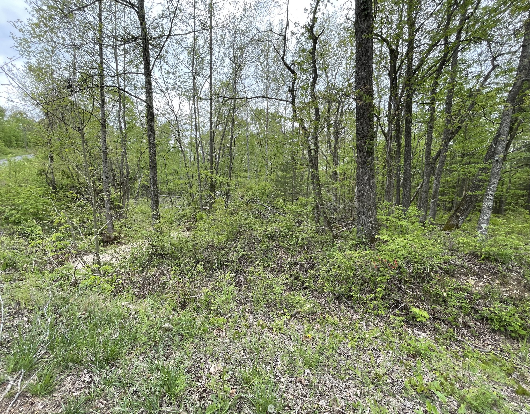3 Short Creek Road Dover, TN 37058 - Photo 4 of 5 Gallery Image 4