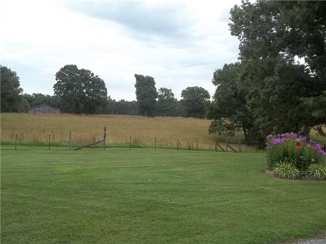 1303 Buffalo Road Hohenwald, TN 38462 - Photo 2 of 18 View of side yard.