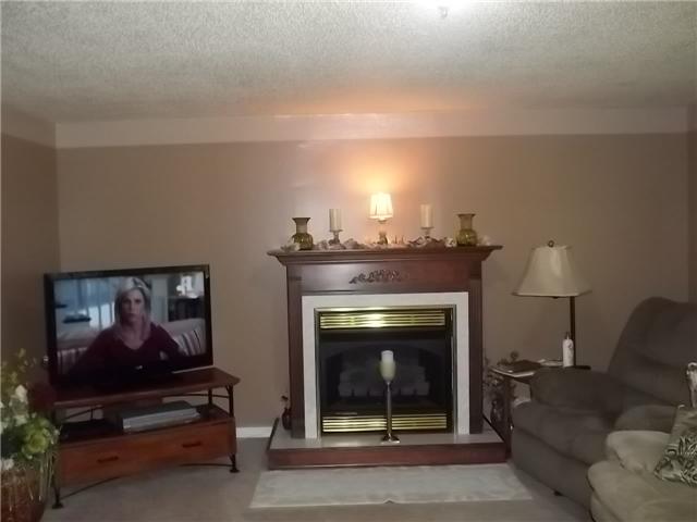 1303 Buffalo Road Hohenwald, TN 38462 - Photo 7 of 18 Fireplace in living room