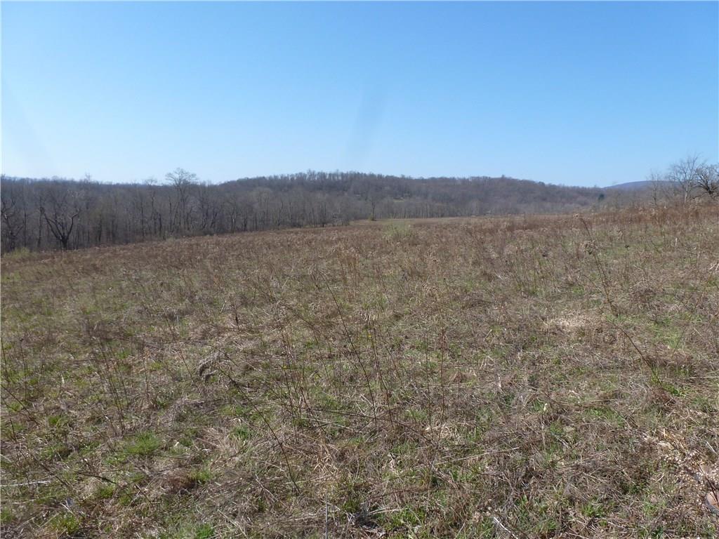 0 Stiffler Road Bolivar, PA 15923 - Photo 2 of 12 Gallery Image 2