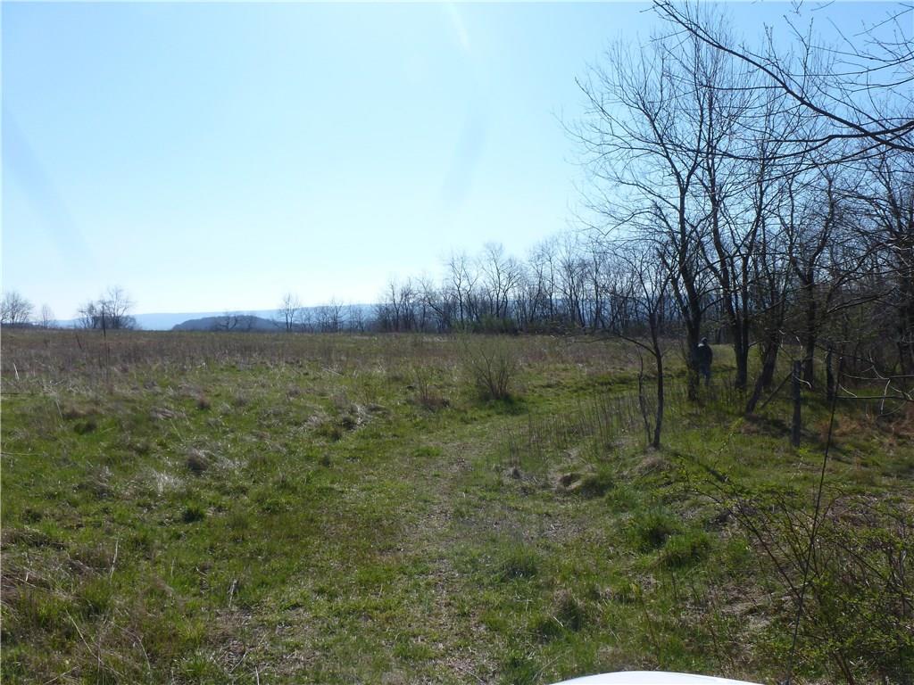 0 Stiffler Road Bolivar, PA 15923 - Photo 11 of 12 As you drive up the front path, you come to this large level piece of property and the path curves to the right. To the right of this view, the path leads down and to another large level piece of property. That view will be the primary slot.