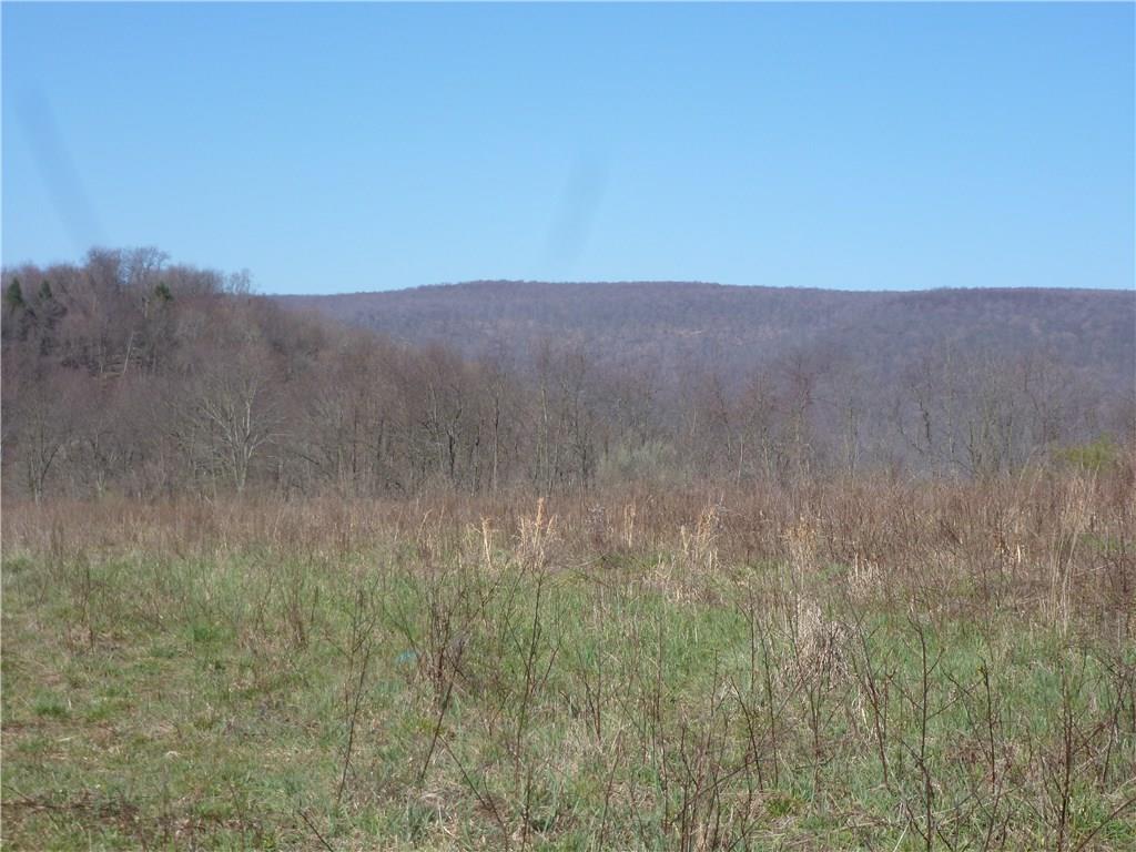 0 Stiffler Road Bolivar, PA 15923 - Photo 3 of 12 Gallery Image 3
