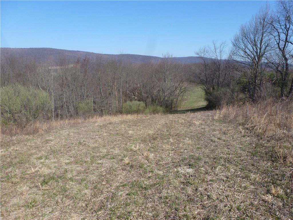 0 Stiffler Road Bolivar, PA 15923 - Photo 4 of 12 Gallery Image 4