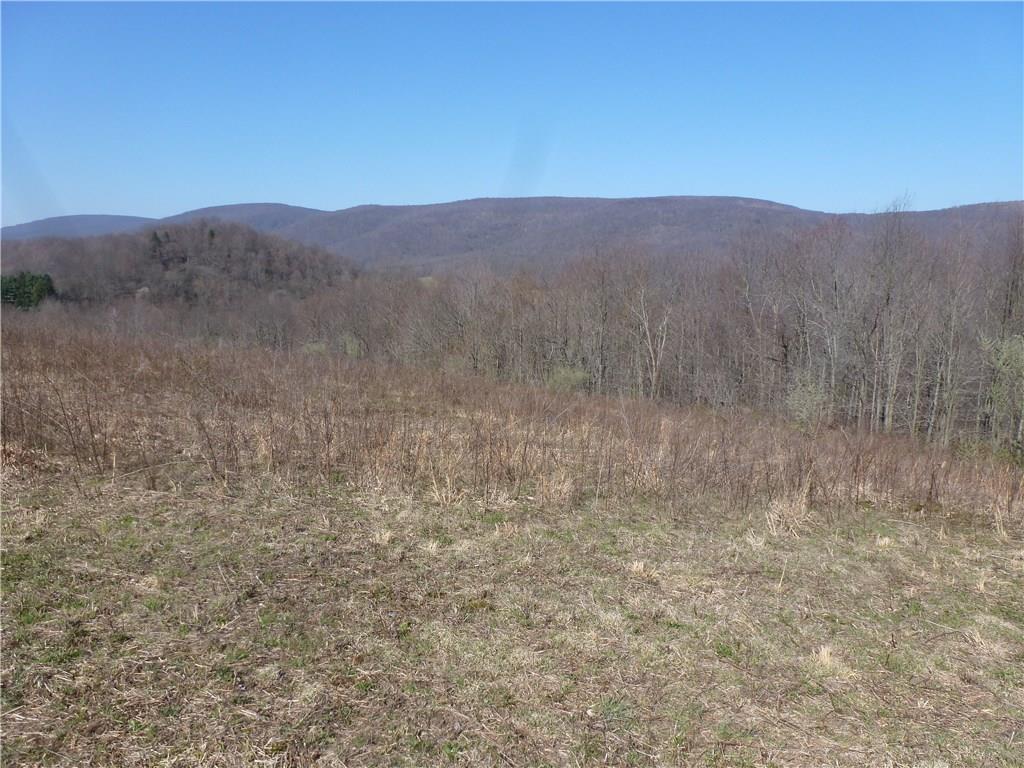 0 Stiffler Road Bolivar, PA 15923 - Photo 5 of 12 Gallery Image 5