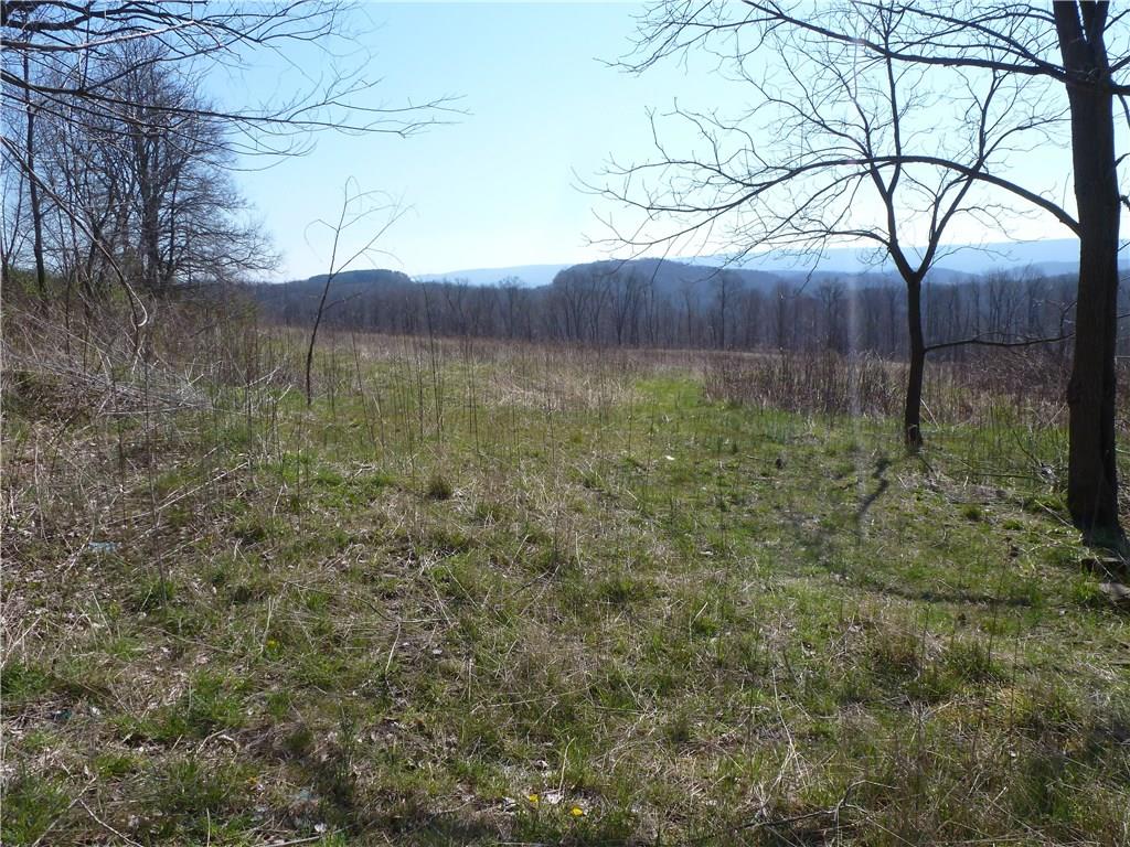0 Stiffler Road Bolivar, PA 15923 - Photo 6 of 12 Gallery Image 6