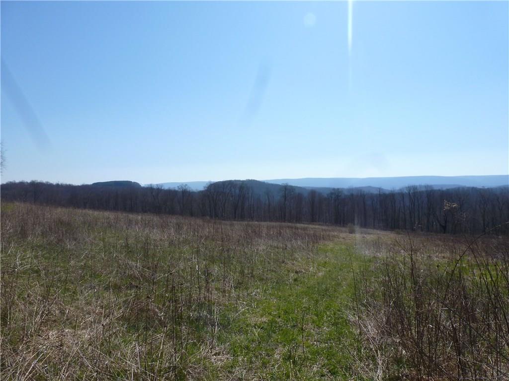 0 Stiffler Road Bolivar, PA 15923 - Photo 7 of 12 Gallery Image 7