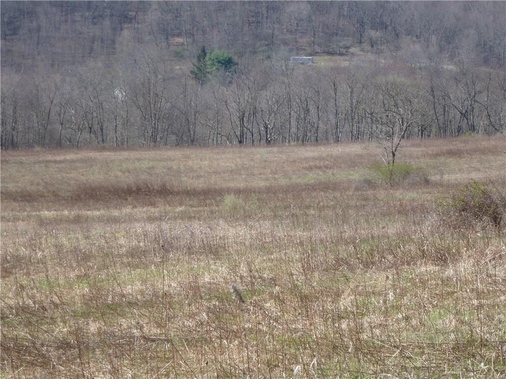 0 Stiffler Road Bolivar, PA 15923 - Photo 9 of 12 Gallery Image 9