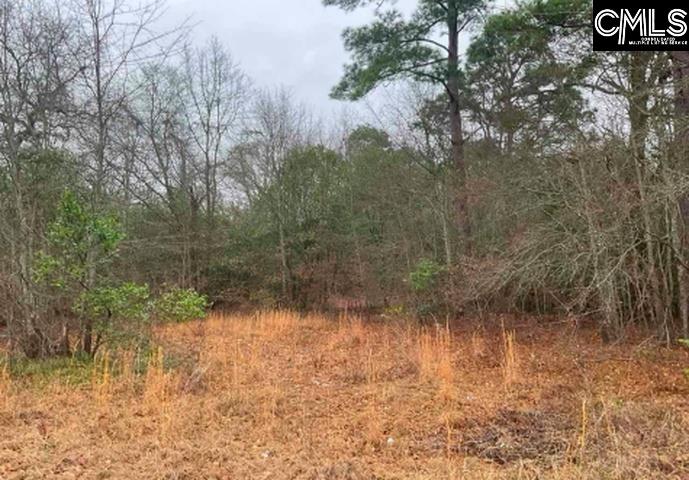 669 Clay Hill Road Pelion, SC 29123 - Photo 2 of 3