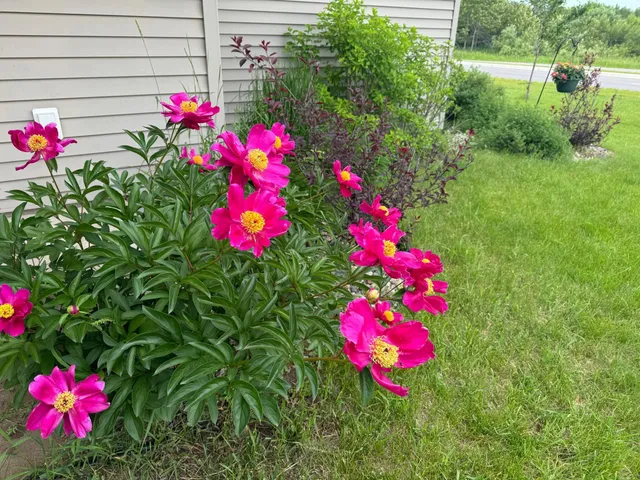 $285,000 | 625 4th Street Northwest, Wadena, MN 56482