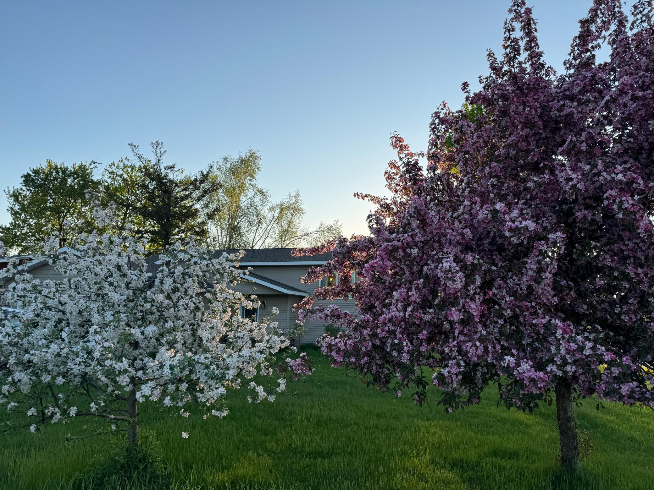 625 4th Street Northwest Wadena, MN 56482 - Photo 23 of 39