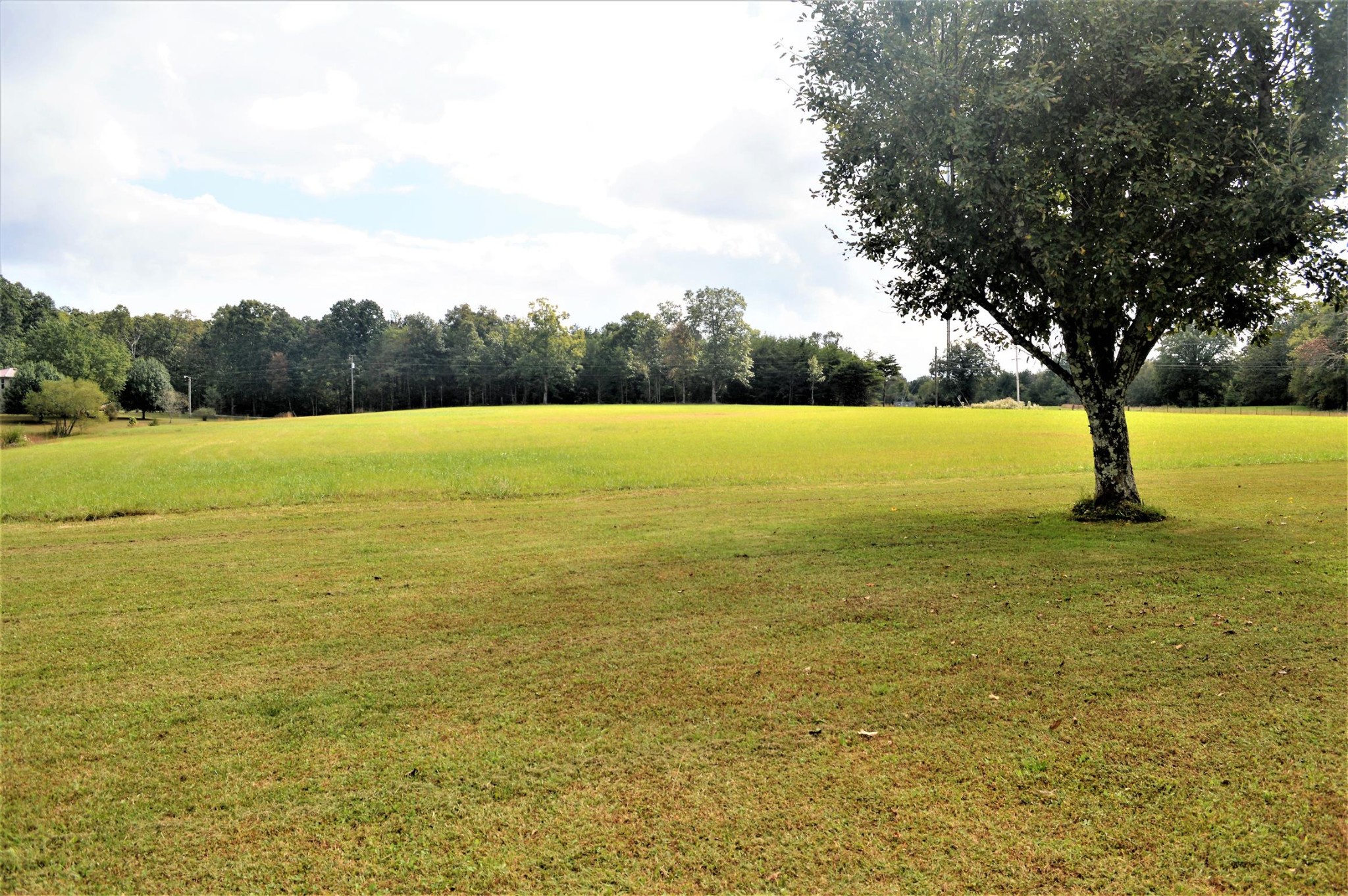 1610 Trussell Road Monteagle, TN 37356 - Photo 23 of 29 Gallery Image 23