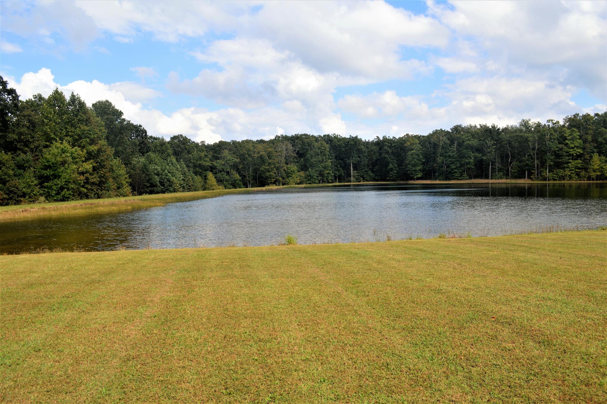 1610 Trussell Road Monteagle, TN 37356 - Photo 29 of 29 Gallery Image 29