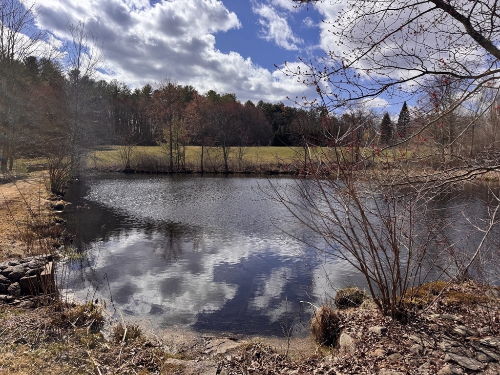 45 Sessions Road Hardwick, MA 01037 - Photo 23 of 28 a view of a yard