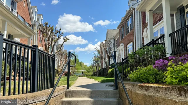 a view of a street with flower plants