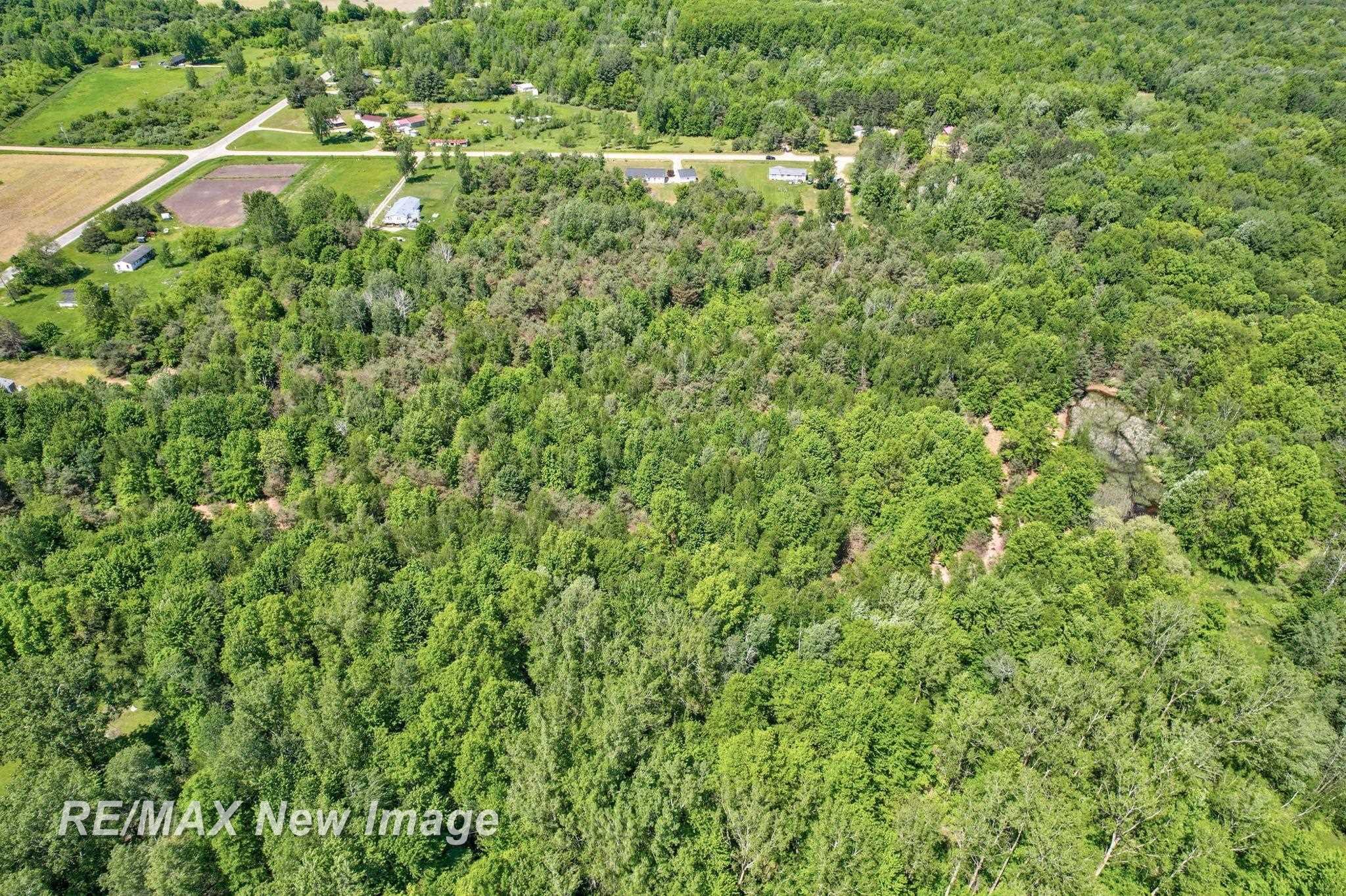 15905 West Burt Road Chesaning, MI 48616 - Photo 59 of 76 50143281-2f7ca3f2-9015-4b42-b59a-cb3495f147fb.JPG