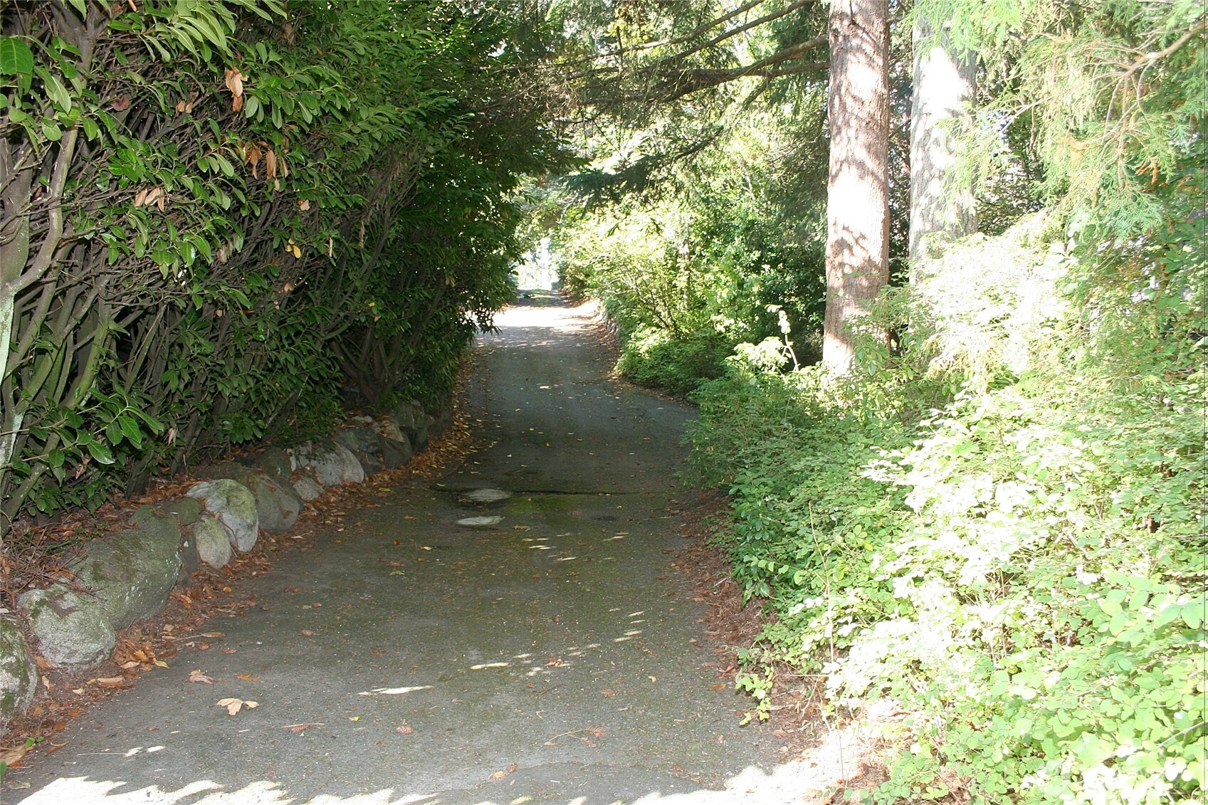 30726 43rd Avenue Southwest Federal Way, WA 98023 - Photo 39 of 39 a backyard of a house with lots of green space