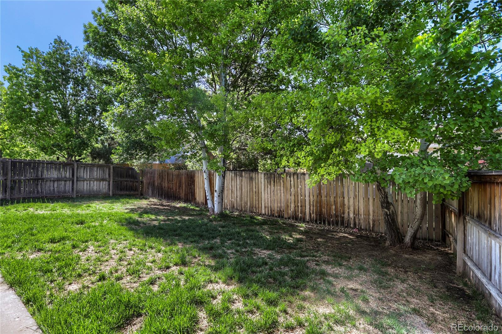 654 Foxtail Way Windsor, CO 80550 - Photo 24 of 30
