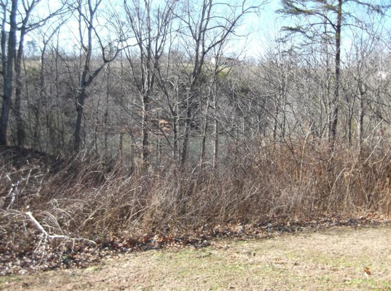 275 Eddie Ridge Road Clay City, KY 40312 - Photo 24 of 25 It is kind of hard to see but this prope