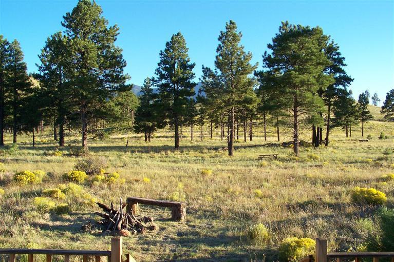22 Fun Valley Road Flagstaff, AZ 86001 - Photo 5 of 20 Additional Photo