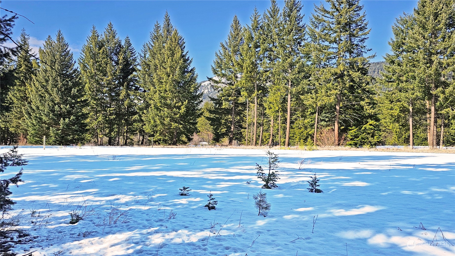 -r Lot 3 R Way Cle Elum, WA 98922 - Photo 22 of 32 Gallery Image 22
