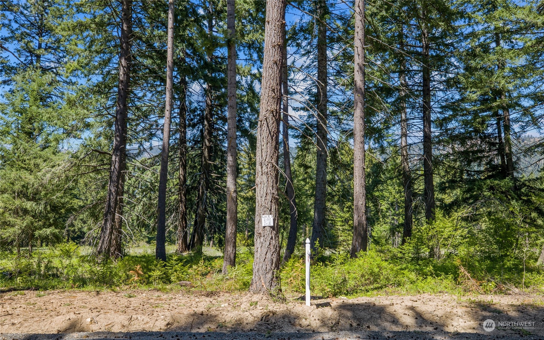 -r Lot 3 R Way Cle Elum, WA 98922 - Photo 8 of 32 Gallery Image 8