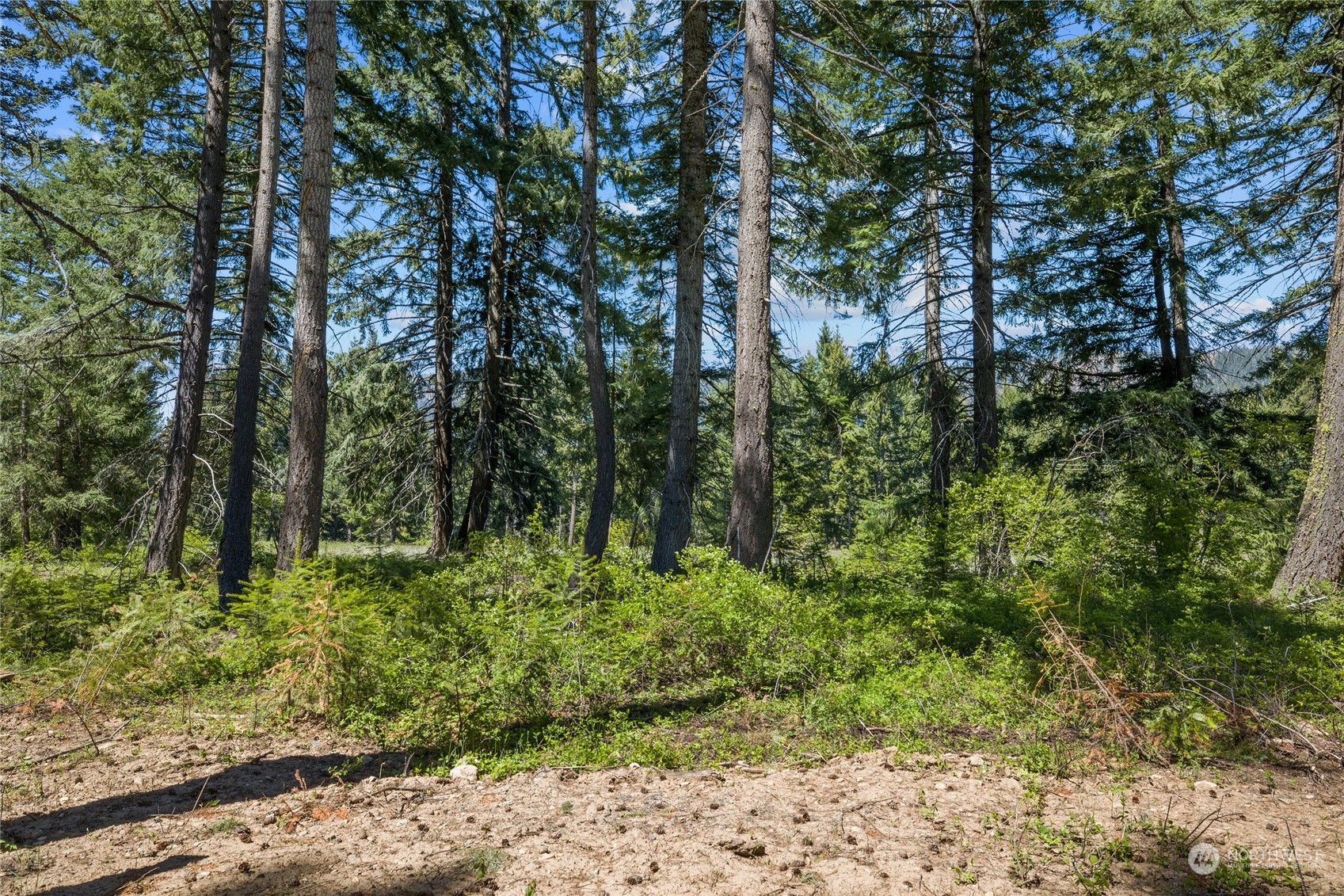 -r Lot 3 R Way Cle Elum, WA 98922 - Photo 10 of 32 Gallery Image 10